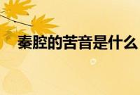 秦腔的苦音是什么（qq打卡有什么用吗）