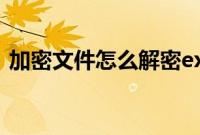 加密文件怎么解密exe（加密文件怎么解密）