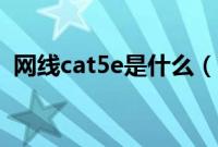 网线cat5e是什么（网线cat5e是什么意思）