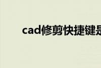cad修剪快捷键是（cad修剪快捷键）