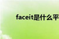 faceit是什么平台（faceit是什么）