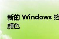 新的 Windows 终端预览拥有丰富的主题和颜色