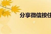 分享微信按住说话的设置方法