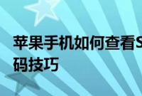 苹果手机如何查看Safari浏览器保存的网站密码技巧