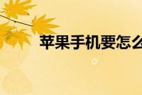 苹果手机要怎么看屏幕有没用坏点