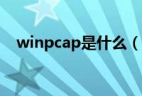 winpcap是什么（winpcap是什么软件）