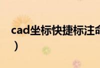cad坐标快捷标注命令(cad坐标快捷键命令)