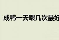 成鸭一天喂几次最好（c语言头文件有哪些）