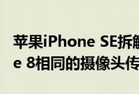 苹果iPhone SE拆解显示它具有与苹果iPhone 8相同的摄像头传感器