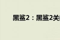 黑鲨2：黑鲨2关闭振动的方法是什么