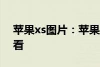 苹果xs图片：苹果iPhone XS那个颜色最好看