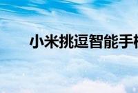 小米挑逗智能手机与48百万像素相机
