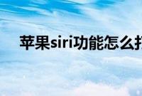 苹果siri功能怎么打开（苹果siri是什么）