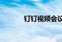 钉钉视频会议如何切换主讲人