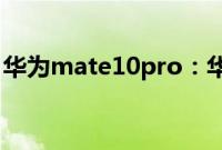 华为mate10pro：华为mate10pro怎么返回