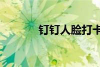 钉钉人脸打卡照片会被看到吗