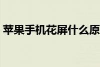 苹果手机花屏什么原因（苹果手机花屏咋整）