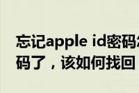 忘记apple id密码怎么办：忘记Apple ID密码了，该如何找回