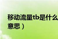 移动流量tb是什么意思（手机流量tb是什么意思）