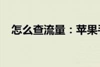怎么查流量：苹果手机如何查看流量情况