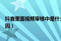 抖音里面视频审核中是什么情况（抖音视频审核中是什么原因）