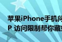 苹果iPhone手机问答：隐藏iPhone里的APP 访问限制帮你藏好小秘密
