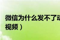 微信为什么发不了动图（微信为什么发不了长视频）