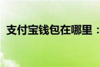 支付宝钱包在哪里：支付宝钱包锁设置教程