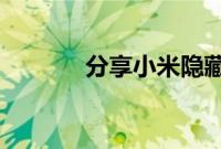 分享小米隐藏应用的设置方法