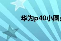 华为p40小圆点的设置方法分享
