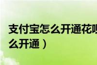 支付宝怎么开通花呗收款（手机支付宝花呗怎么开通）