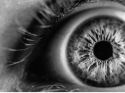 研究揭示动态人眼结构：眼科学的突破