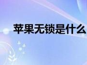 苹果无锁是什么（苹果无锁是什么意思）