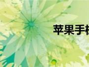 苹果手机要怎么设置ad