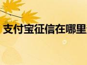 支付宝征信在哪里查（支付宝征信在哪里查）