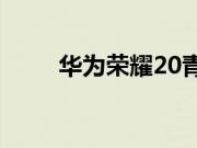 华为荣耀20青春版的录屏方法介绍