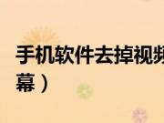 手机软件去掉视频声音（手机软件去掉视频字幕）
