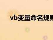 vb变量命名规则（vb变量名命名规则）
