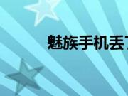 魅族手机丢了定位找回要怎么找