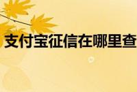 支付宝征信在哪里查（支付宝征信在哪里查）
