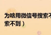 为啥用微信号搜索不到微信（为啥用微信号搜索不到）