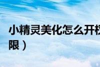 小精灵美化怎么开权限（小精灵美化怎么开权限）
