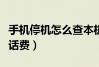 手机停机怎么查本机手机号（手机停机怎么查话费）