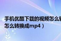 手机优酷下载的视频怎么转换成mp4（手机优酷下载的视频怎么转换成mp4）