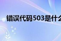 错误代码503是什么意思（错误代码503）