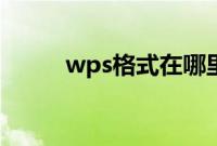 wps格式在哪里（wps格式在哪）