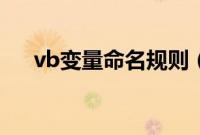 vb变量命名规则（vb变量名命名规则）