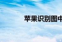 苹果识别图中文字要怎么识别