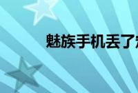 魅族手机丢了定位找回要怎么找