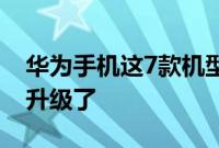 华为手机这7款机型已经开启EMUI10.1公测升级了